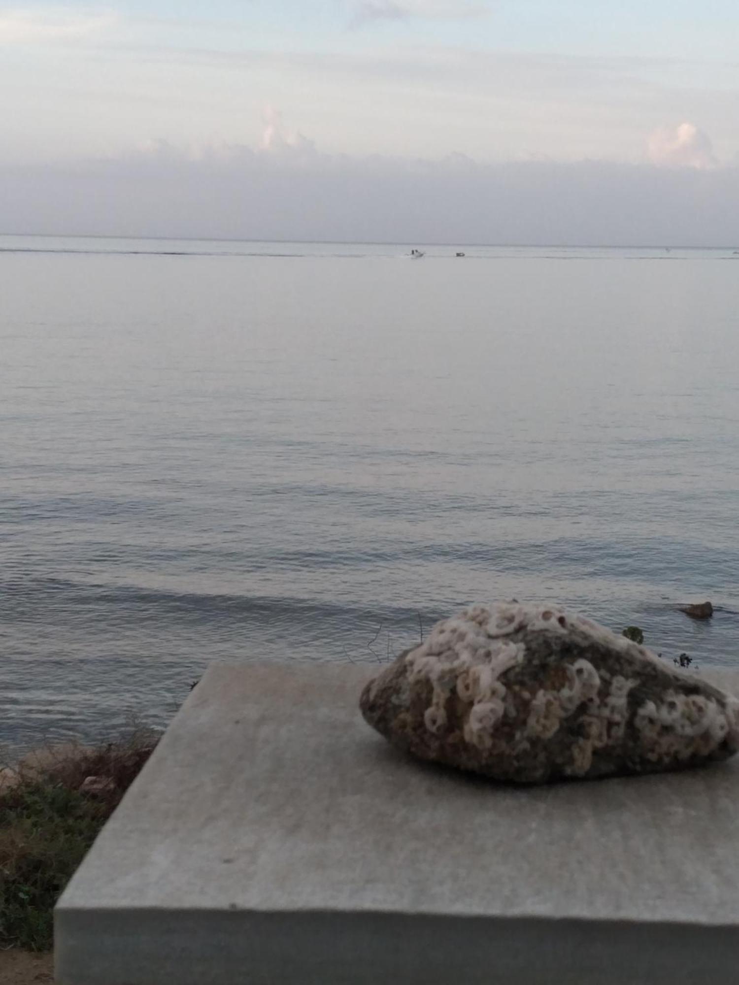 Albatross Seafront House Apartment Naxos City ภายนอก รูปภาพ