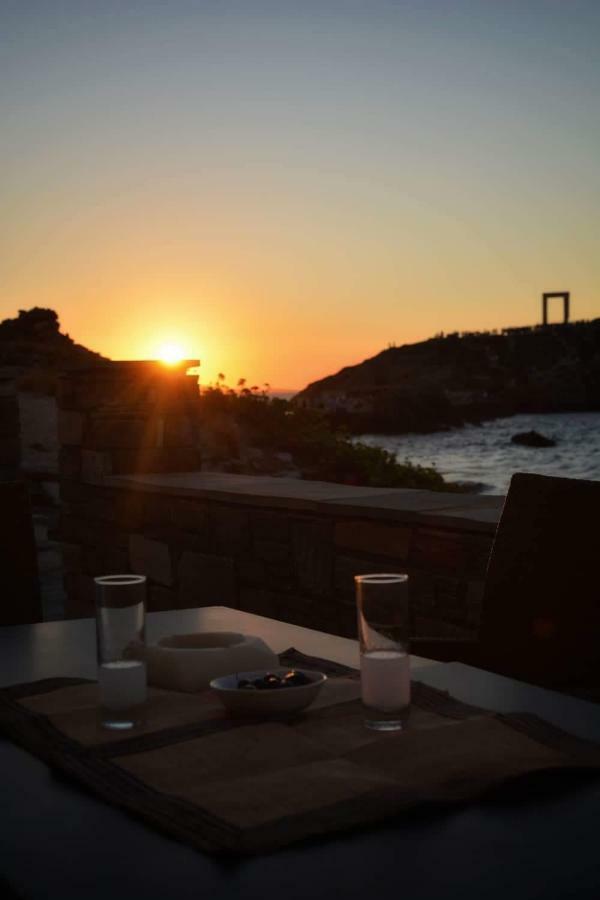 Albatross Seafront House Apartment Naxos City ภายนอก รูปภาพ