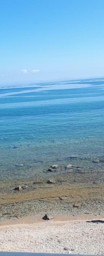 Albatross Seafront House Apartment Naxos City ภายนอก รูปภาพ